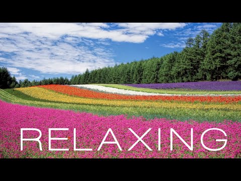 MOOD RELAXATION MUSIC FOR SLEEP MEDITATION