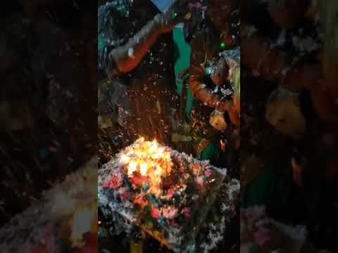 Cute baby ❤️🎉it's 1st birthday cake cutting...🎂🎂