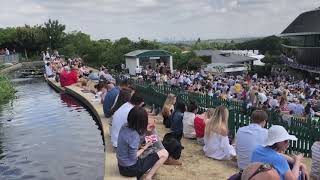 My Wimbledon Experience