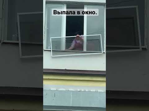 Женщина ставила москитную сетку и выпала в окно. Таксист поймал летящую из окна большую женщину.