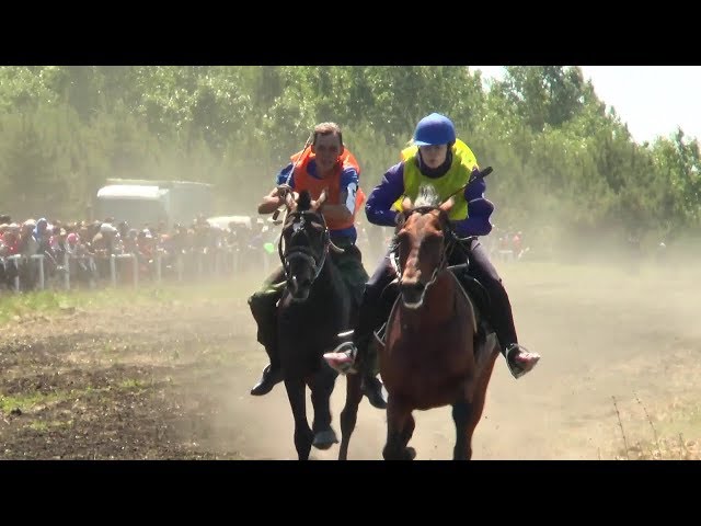 Продолжение Сабантуя - спортивные мероприятия