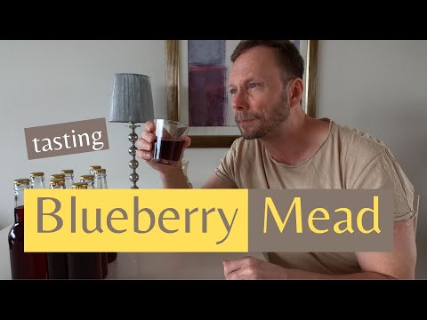 Blueberry Mead tasting
