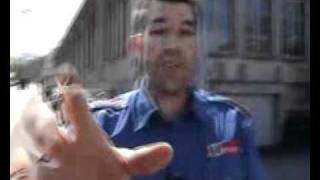 Nazi Swit-SS-erland & Racism: Sean Hross beaten by corrupt violent swiss police