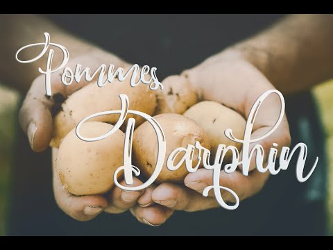 These French HASH BROWNS are so TASTY!  Make "Pommes Darphin" in under 30 minutes! | @plantssquared