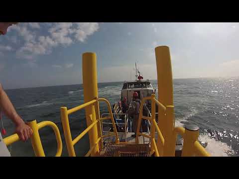 BW Ideol - Floatgen O&M