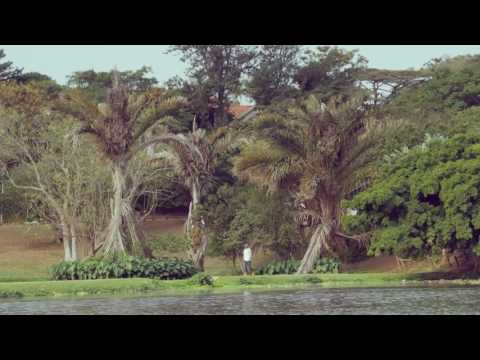 DJ Merlon ft Black Motion and Mondli Ngcobo   Tale of the Monkeys Official Music Video