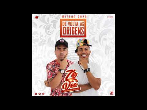 ZE DA VEA CUBINHO NO TECLADO - CDZÃO COMPLETO DE INVERNO 2020