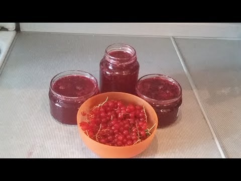Готовим с Софией. Готовим желе из красной смородины