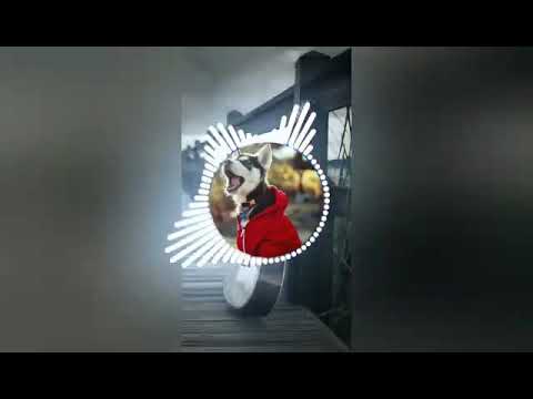 download lagu mp3 mp4 A To Z Telugu Old Songs Free Dj, download lagu A To Z Telugu Old Songs Free Dj gratis, unduh video klip Download A To Z Telugu Old Songs Free Dj Mp3 dan Mp4 Free All Gratis