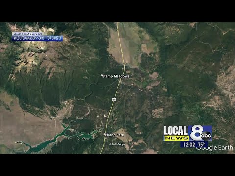 Runner attacked by grizzly in Island Park