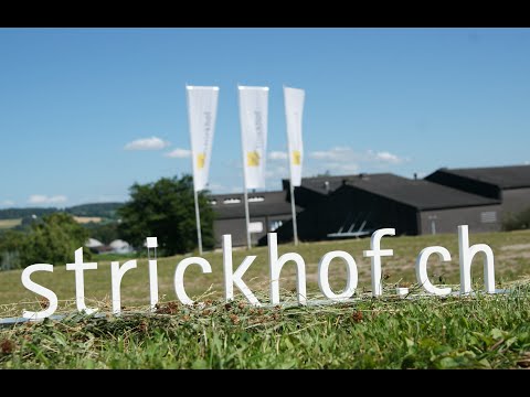 Neue Strickhof-Webseite