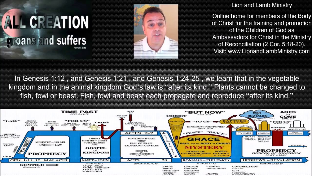 Romans 8:22: Why the Whole of Creation Groans in Pain