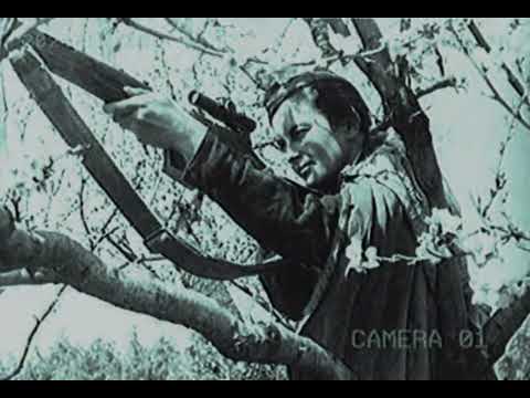 Wall Of Death (VA) - 309 Dead Nazis (Lyudmila Pavlichenko Tribute)