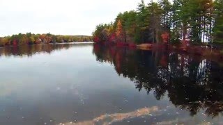 Willie Nelson - Whiter Shade of Pale: Baxter Lake Fall Foliage Drone Flight, Rochester, NH