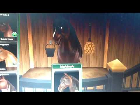 All of my horses on SSO