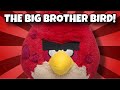 Angry Birds Adventures Episode 47 The Big Brother Bird