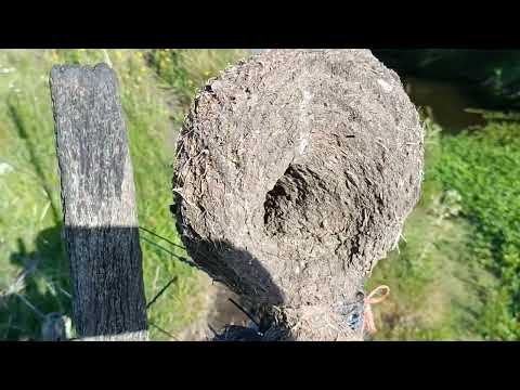 Campo 11,3 Ha. en Totoral del Sauce - Canelones