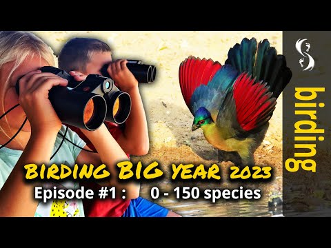 Birding BIG Year 2023 : Episode #1