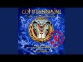 The Audience Is Listening (Castle Donington, England / August 18 / 2019 Remaster)