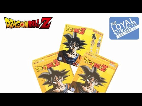 Opening Loyal Subjects DBZ Blind Boxes