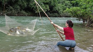Survival Fishing | Fishing Techniques | Fishing with Net in Stream | Catching Many Big Fish