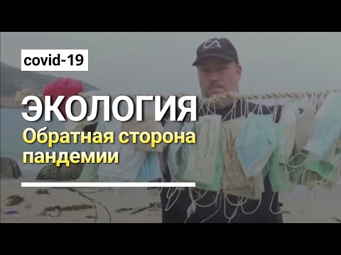 Экология. Обратная сторона пандемии
