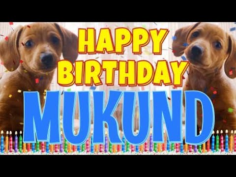 Happy Birthday Mukund! ( Funny Talking Dogs ) What Is Free On My Birthday