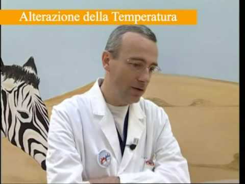 Esercizi per il mal di schiena sotto le scapole Hondroprotektory per le articolazioni delle mani