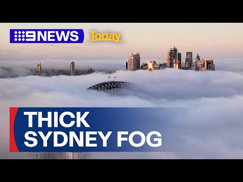 Thick fog over Sydney causes flights to be diverted away | 9 News Australia