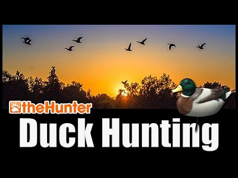 browning duck hunter pc download