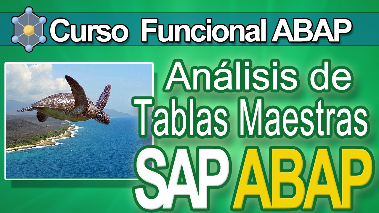 ABAP Master Funcional Gratuito - Tutorial Tablas Maestras de SAP | CVOSOFT.com
