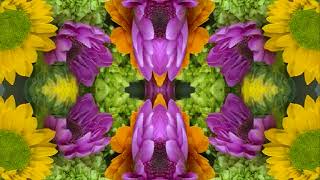 The Last Thing On My Mind (by Gene Clark live in Liberty, NY 10/8/1988)