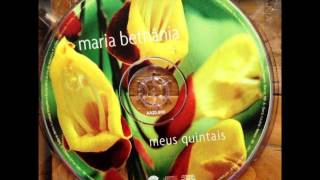 CD Meus quintais,Música: Alguma Voz.