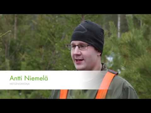 Kasvusta näkee, että hoitaminen kannattaa - UPM Metsä