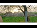 How Nature Looks Like Watch Endless Beauty Of Nature