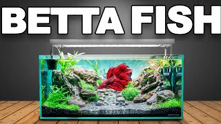 I Built an Ecosystem for a Betta Fish