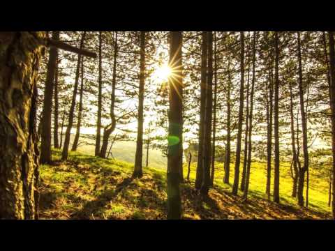 Synthetic sax - Memoirs