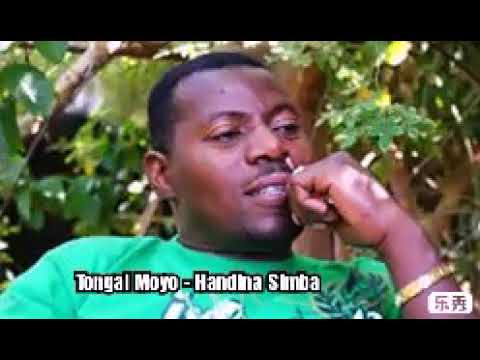 Tongai Moyo - Handina Simba