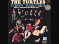 The Turtles - Happy Together 