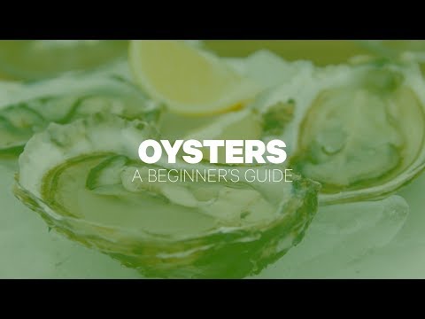 Indulge in a Sea-To-Table Experience: Up to Two Dozen Oysters with Two Drinks at The Shadmoor at Up to 60% Off - Second Medium