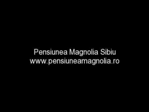 Pensiunea Magnolia Sibiu