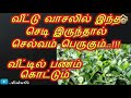 Keep This Plant In Front Of Your House வீட்டு வாசலில் இந்த செ�