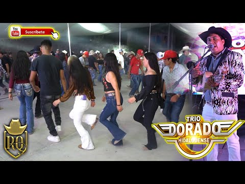 Trio Dorado Hidalguense el corre caballo en el Devisadero