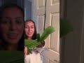 When to water your orchid? I can help! #orchids #plantcaretips #wateringplants #orchidcare