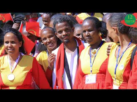 ግጥሚ ጋዜጠኛ ዓወት ወዳጅ Amir Dawud - Sehaba Nate  ሰሓባ ' ናቴ