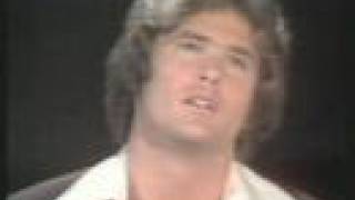 Before David Hasselhoff was famous