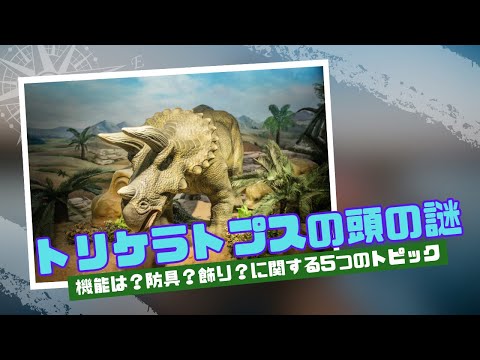 トリケラトプスについて詳しく解説