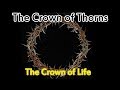 The Crown of Thorns - Interesting Facts