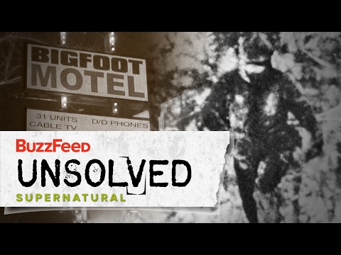 The Hunt for Bigfoot: Uncovering the Elusive Legend