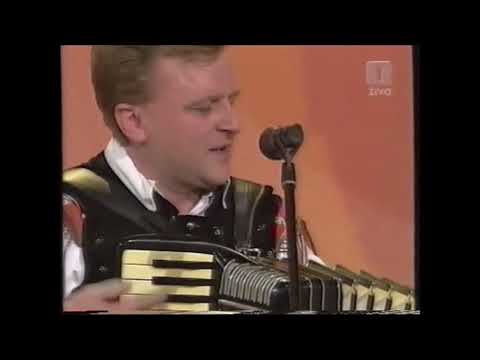 Prijatelja spoznaš v nesreči, Ansambel Mira Klinca, Naj viža 2003